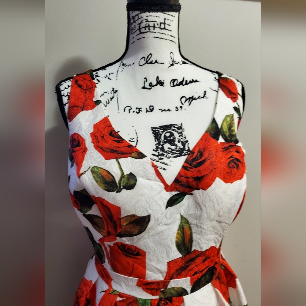 ModCloth Unique Vintage Chi Chi London High Tea Red Rose Formal Dress Size 20 - Picture 5 of 16